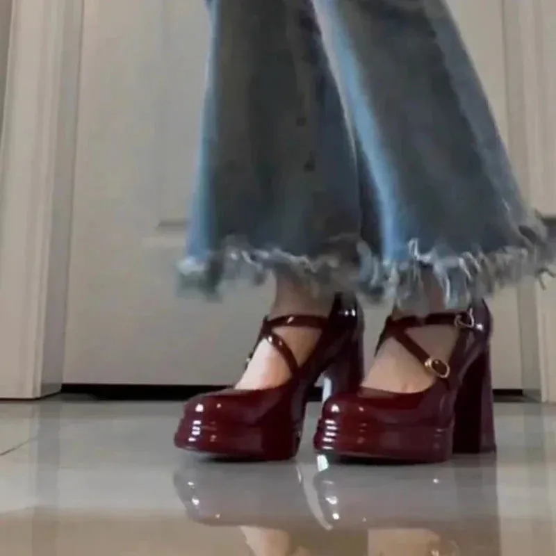 binfenxie 2024 Spring Platform Women's  Mary Jane Shoes Fashion Shallow Square High Heel Ladies Elegant Party Dress Pumps