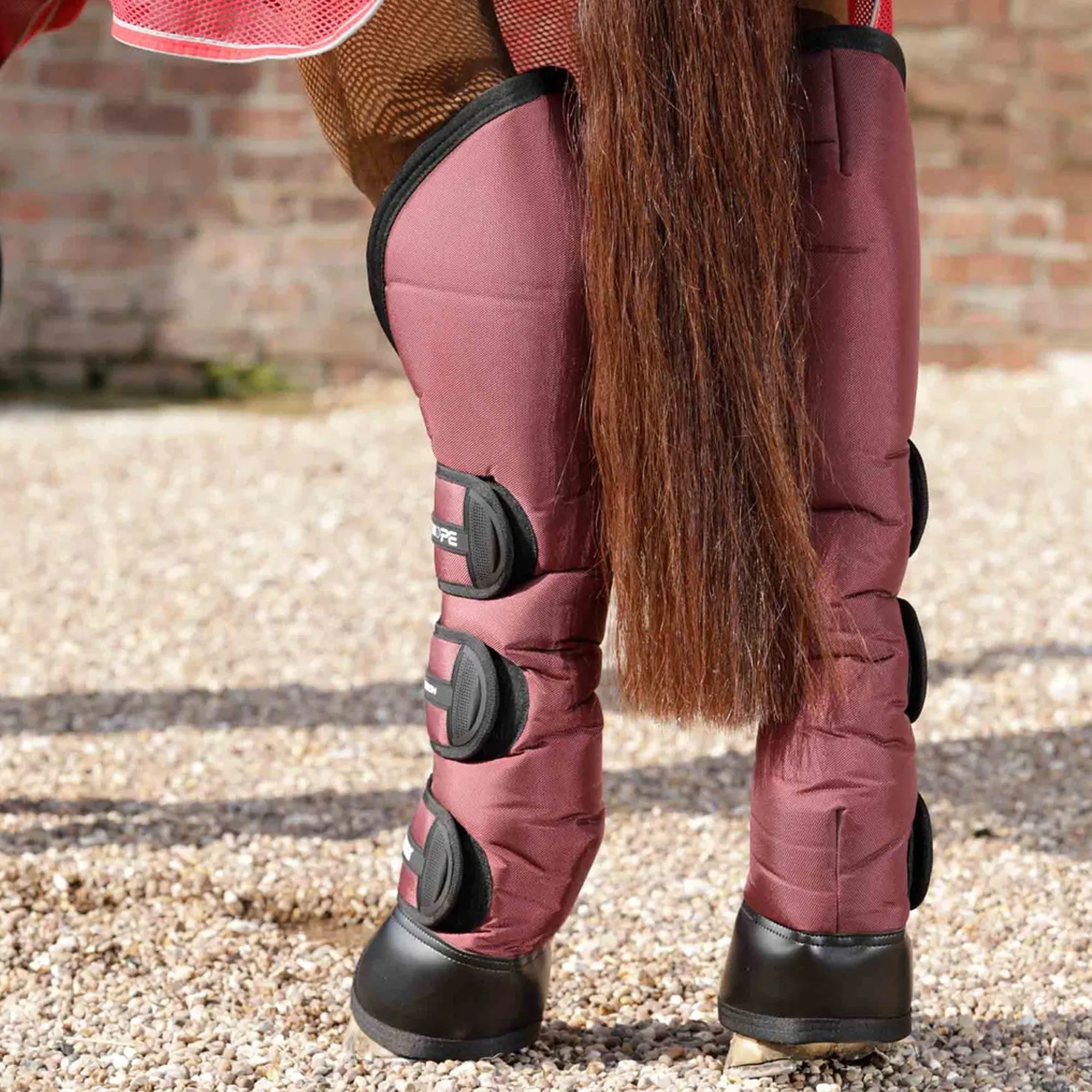 Premier Equine Knee Pro-Tech Travel Boots - Burgundy
