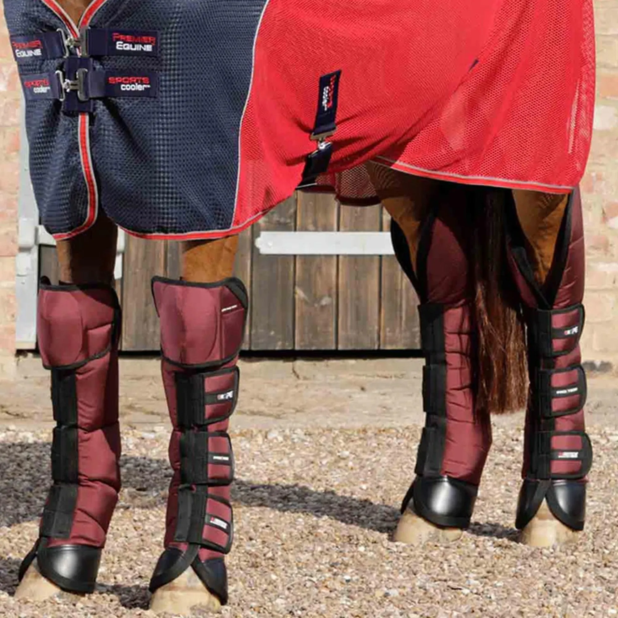 Premier Equine Knee Pro-Tech Travel Boots - Burgundy